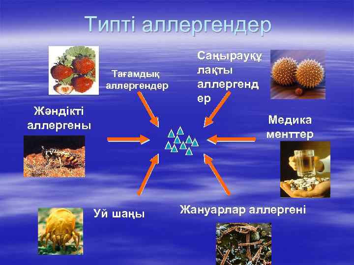 Типті аллергендер Тағамдық аллергендер Жәндікті аллергены Саңырауқұ лақты аллергенд ер Медика менттер Уй шаңы