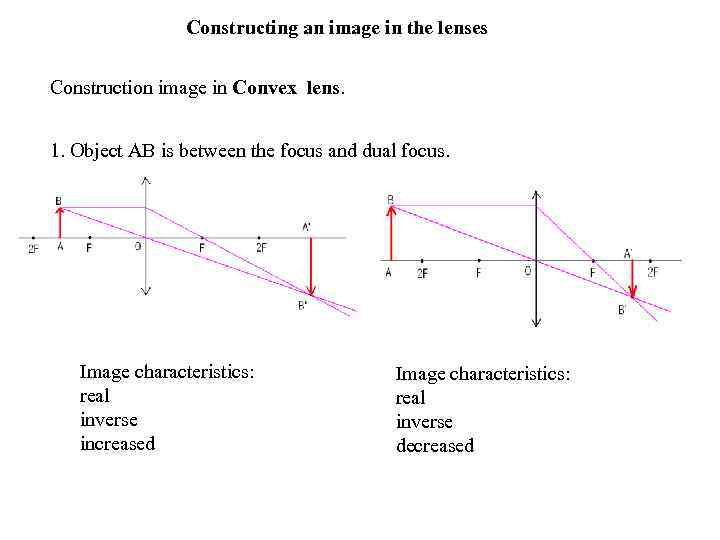 Constructing an image in the lenses Construction image in Convex lens. 1. Object AB
