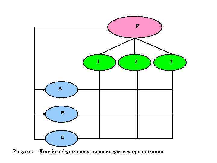 Р 1 2 А Б В Рисунок – Линейно-функциональная структура организации 3 