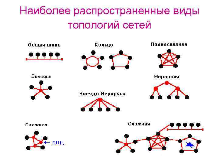 Наиболее распространение