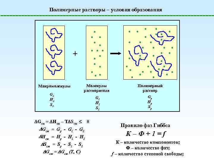 Полимерные растворы – условия образования + Макромолекулы G 2 H 2 S 2 Молекулы