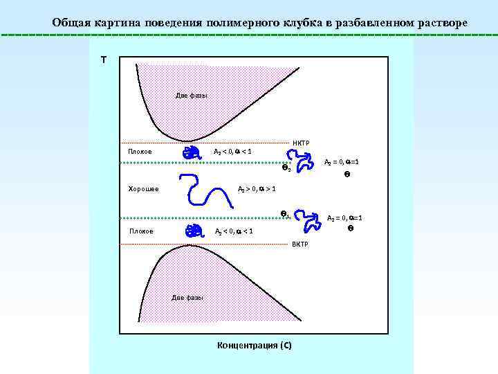 Общая картина поведения полимерного клубка в разбавленном растворе T Две фазы НКТР A 2