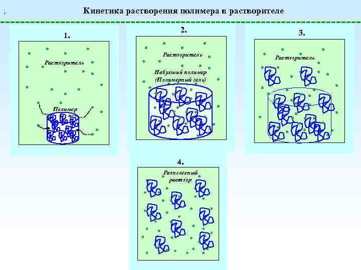 Первичный этап растворения твердого образца полимера называется