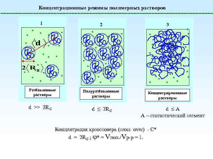 Концентрационные режимы полимерных растворов 1 2 Разбавленные растворы d >> 2 RG 3 Полуразбавленные