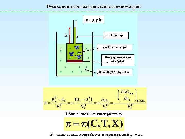 Осмос, осмотическое давление и осмометрия = g h h Капилляр Ячейка раствора 1 2