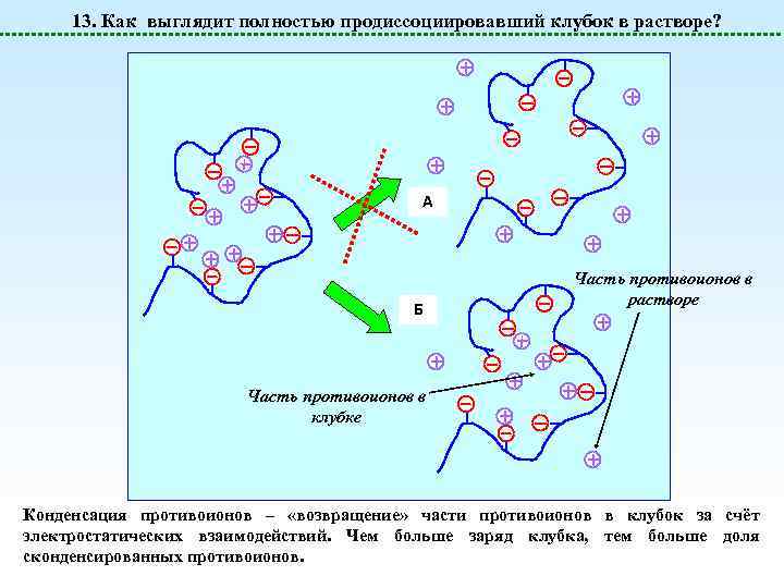 13. Как выглядит полностью продиссоциировавший клубок в растворе? A Б Часть противоионов в растворе