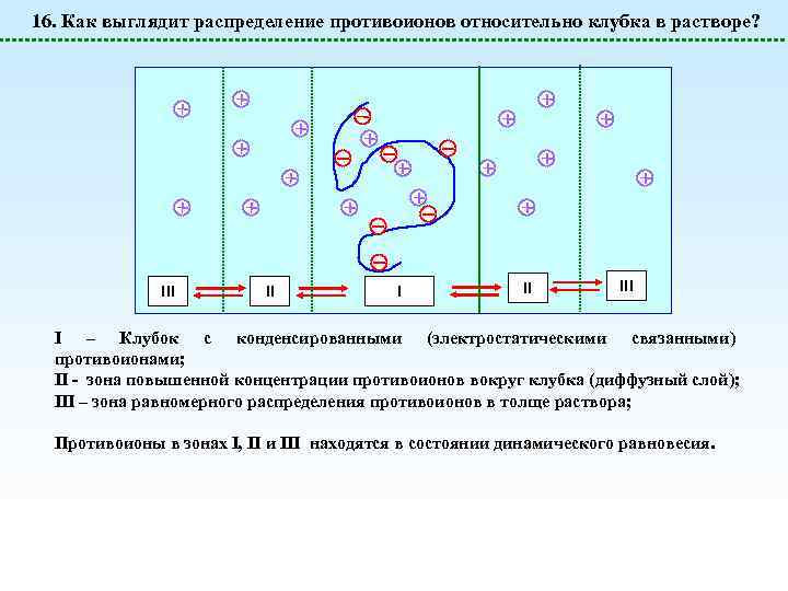 16. Как выглядит распределение противоионов относительно клубка в растворе? III II III I –