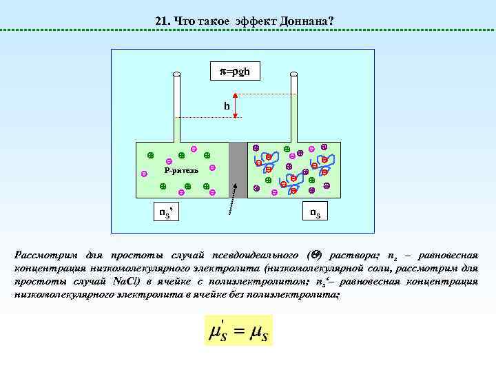 21. Что такое эффект Доннана? = gh h Р-ритель n. S ’ n. S