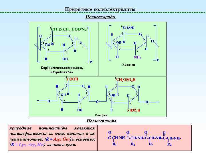 Природные полиэлектролиты Полисахариды Полипептиды природные полипептиды являются полиамфолитами за счёт наличия в их цепи