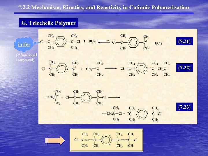 7. 2. 2 Mechanism, Kinetics, and Reactivity in Cationic Polymerization G. Telechelic Polymer inifer