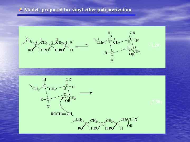 Models proposed for vinyl ether polymerization (7. 29) (7. 30) 