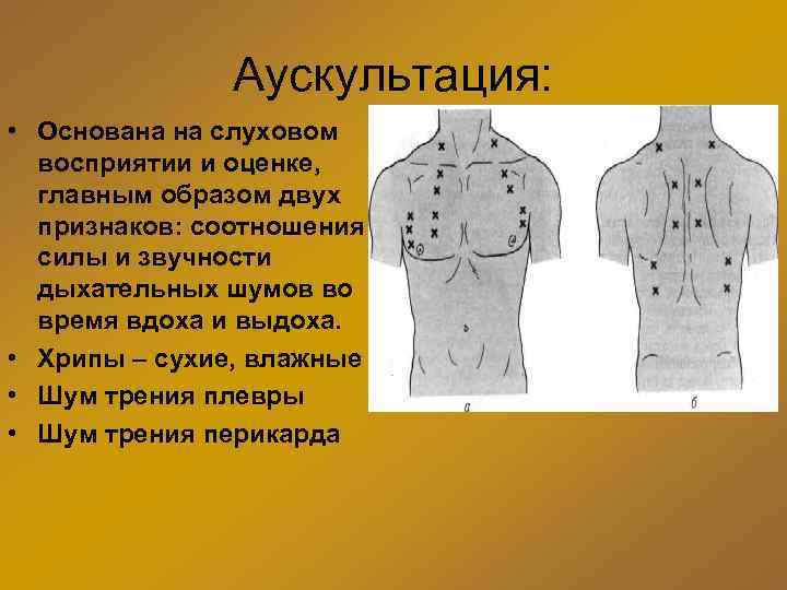 Аускультация: • Основана на слуховом восприятии и оценке, главным образом двух признаков: соотношения силы