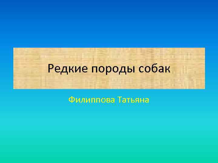 Редкие породы собак Филиппова Татьяна 