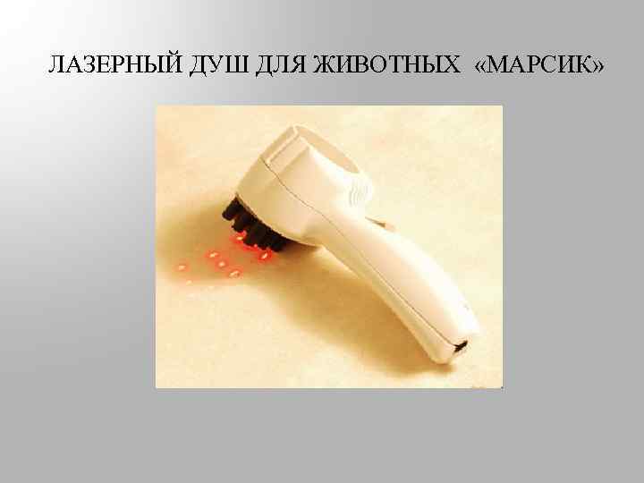ЛАЗЕРНЫЙ ДУШ ДЛЯ ЖИВОТНЫХ «МАРСИК» 