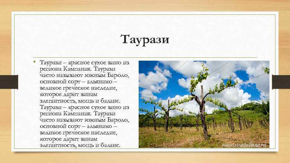 Таурази • Таурази – красное сухое вино из региона Кампания. Таурази часто называют южным