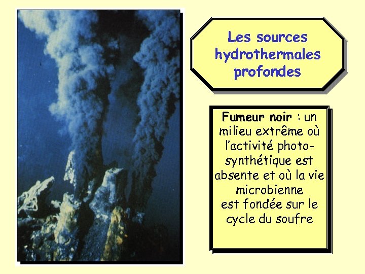 Les sources hydrothermales profondes Fumeur noir : un milieu extrême où l’activité photosynthétique est