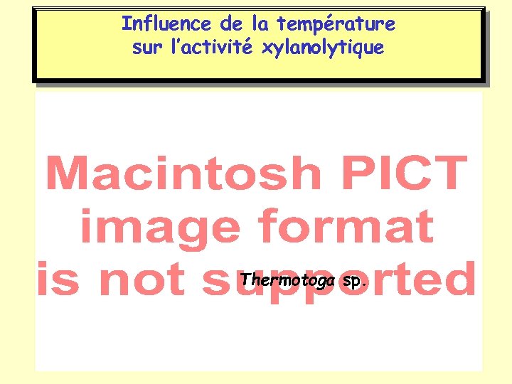 Influence de la température sur l’activité xylanolytique Thermotoga sp. 