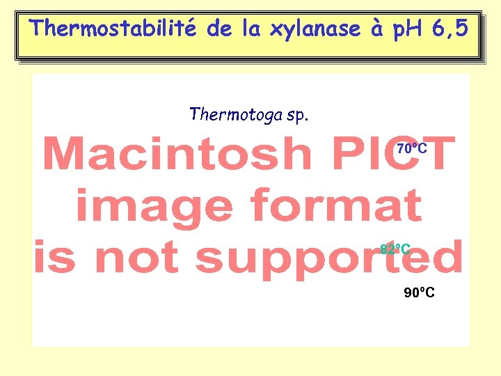 Thermostabilité de la xylanase à p. H 6, 5 Thermotoga sp. 70°C 82°C 90°C