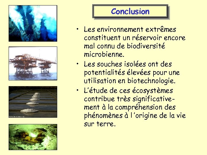 Conclusion • Les environnement extrêmes constituent un réservoir encore mal connu de biodiversité microbienne.