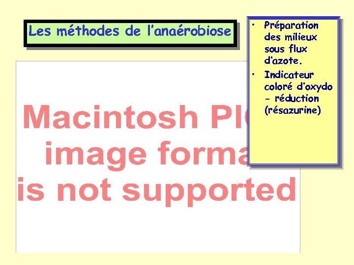 Les méthodes de l’anaérobiose • Préparation des milieux sous flux d’azote. • Indicateur coloré