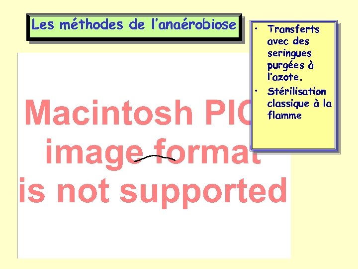 Les méthodes de l’anaérobiose • Transferts avec des seringues purgées à l’azote. • Stérilisation