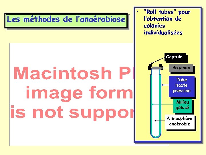 Les méthodes de l’anaérobiose • “Roll tubes” pour l’obtention de colonies individualisées Capsule Bouchon