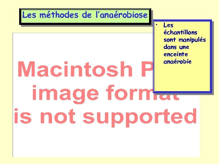 Les méthodes de l’anaérobiose • Les échantillons sont manipulés dans une enceinte anaérobie 