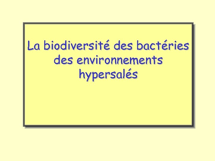 La biodiversité des bactéries des environnements hypersalés 