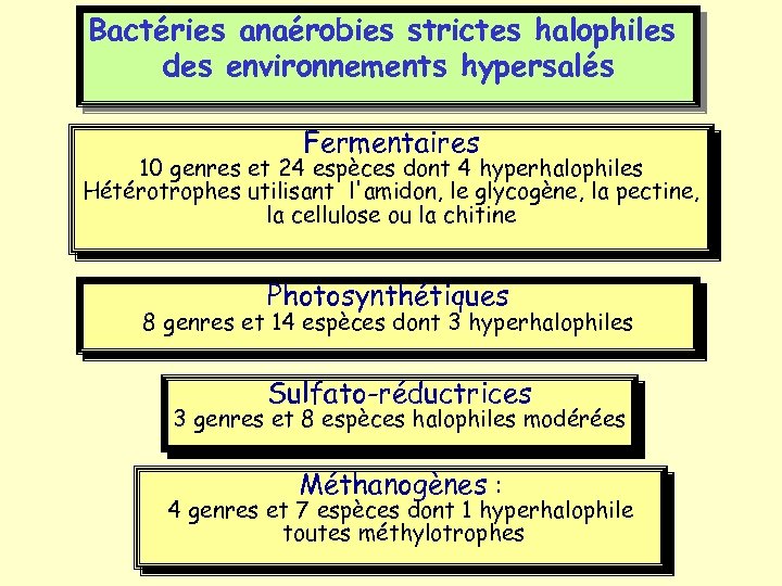 Bactéries anaérobies strictes halophiles des environnements hypersalés Fermentaires 10 genres et 24 espèces dont