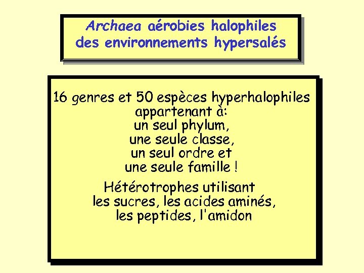 Archaea aérobies halophiles des environnements hypersalés 16 genres et 50 espèces hyperhalophiles appartenant à: