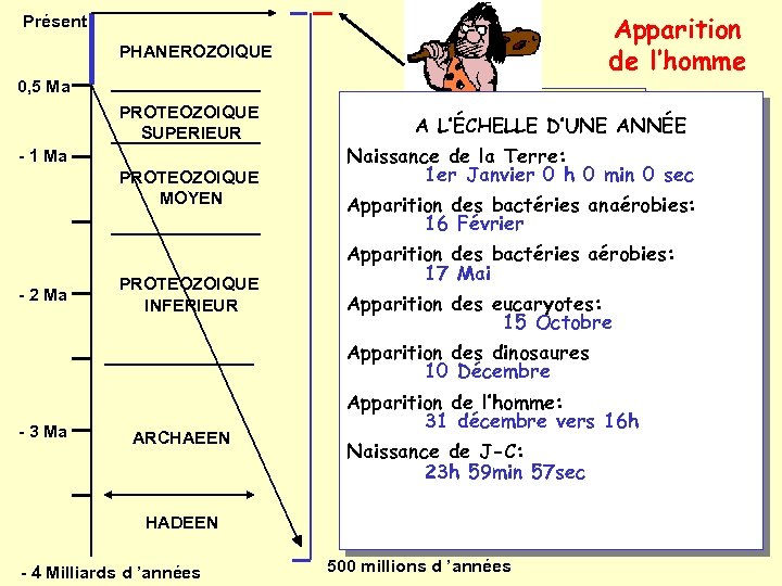 Apparition de l’homme Présent PHANEROZOIQUE 0, 5 Ma PROTEOZOIQUE SUPERIEUR - 1 Ma PROTEOZOIQUE