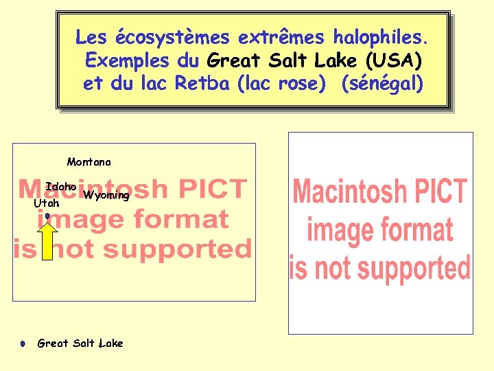 Les écosystèmes extrêmes halophiles. Exemples du Great Salt Lake (USA) et du lac Retba