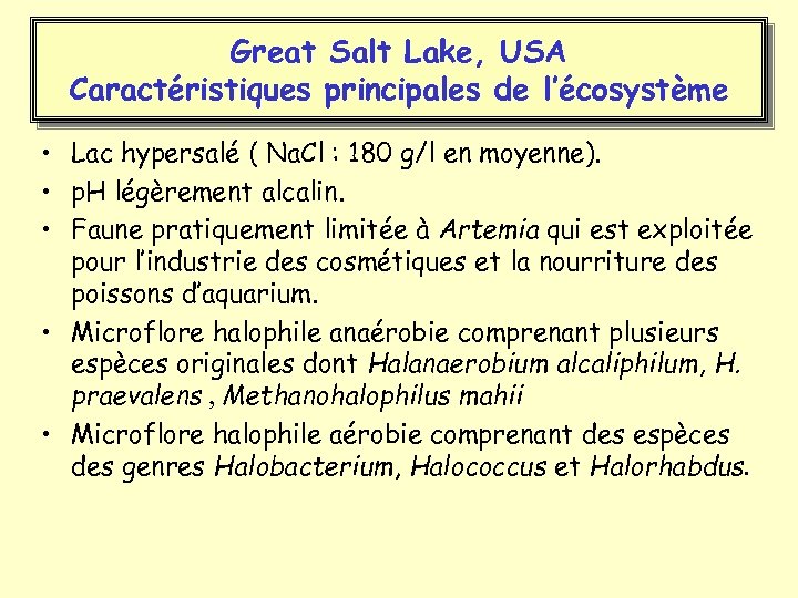 Great Salt Lake, USA Caractéristiques principales de l’écosystème • Lac hypersalé ( Na. Cl