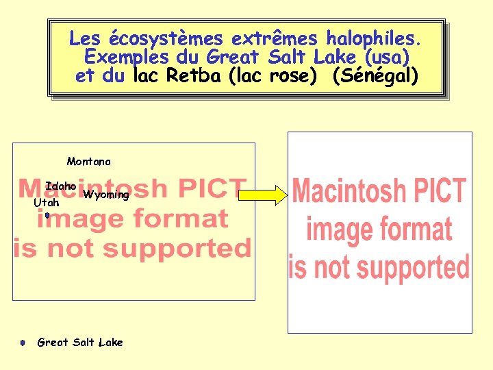 Les écosystèmes extrêmes halophiles. Exemples du Great Salt Lake (usa) et du lac Retba