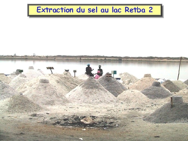 Extraction du sel au lac Retba 2 