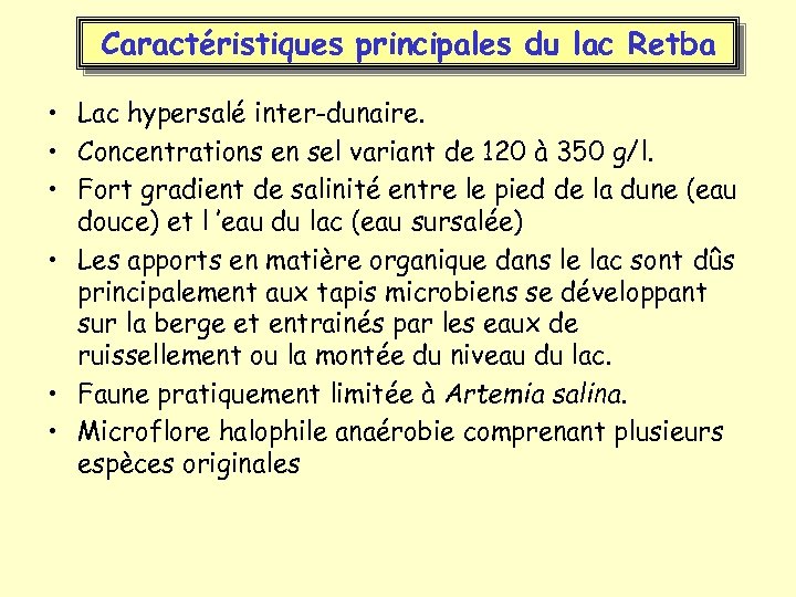 Caractéristiques principales du lac Retba • Lac hypersalé inter-dunaire. • Concentrations en sel variant