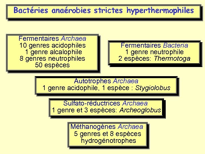 Bactéries anaérobies strictes hyperthermophiles Fermentaires Archaea 10 genres acidophiles 1 genre alcalophile 8 genres