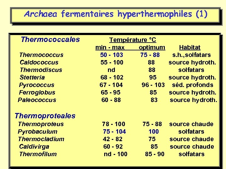 Archaea fermentaires hyperthermophiles (1) Thermococcales Température °C min - max optimum Habitat Thermococcus 50