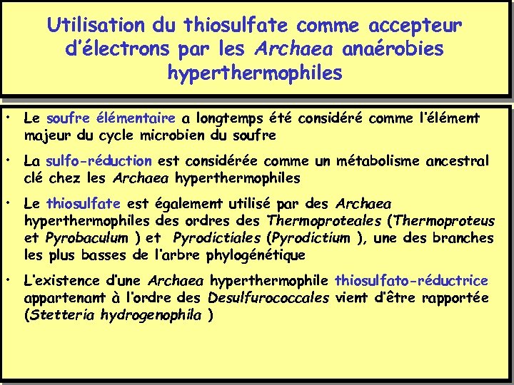 Utilisation du thiosulfate comme accepteur d’électrons par les Archaea anaérobies hyperthermophiles • Le soufre