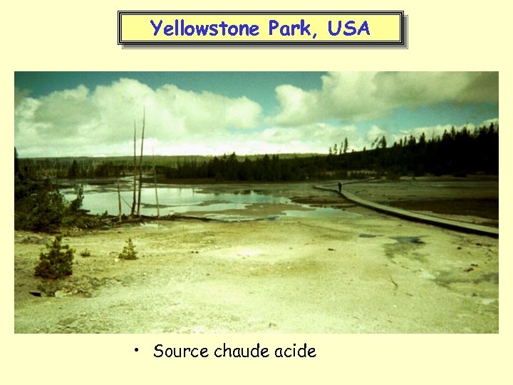 Yellowstone Park, USA • Source chaude acide 