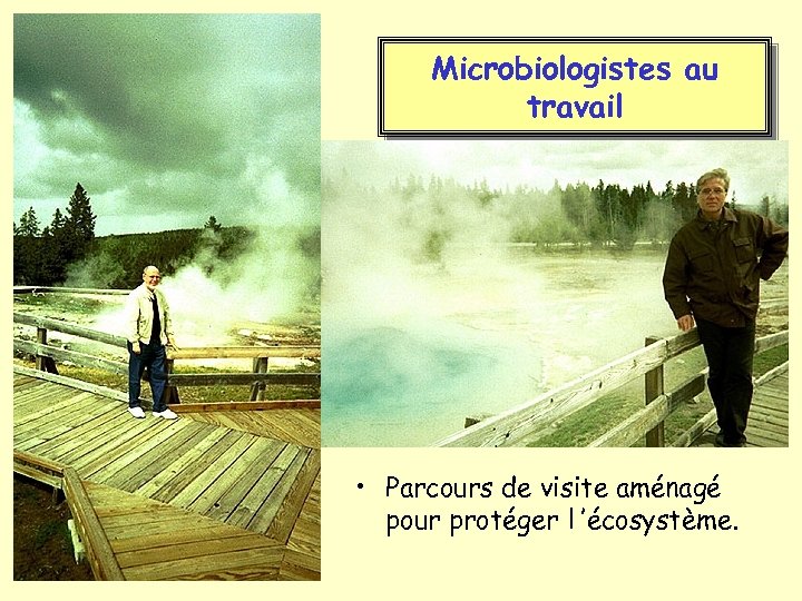 Microbiologistes au travail • Parcours de visite aménagé pour protéger l ’écosystème. 