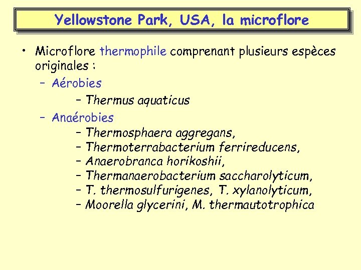 Yellowstone Park, USA, la microflore • Microflore thermophile comprenant plusieurs espèces originales : –