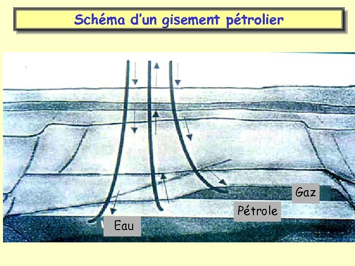 Schéma d’un gisement pétrolier Gaz Eau Pétrole 