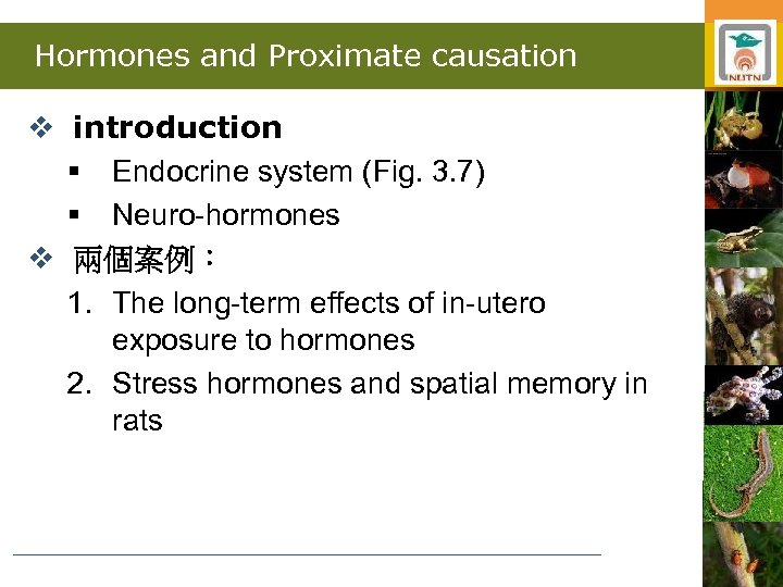 Hormones and Proximate causation v introduction § Endocrine system (Fig. 3. 7) § Neuro-hormones