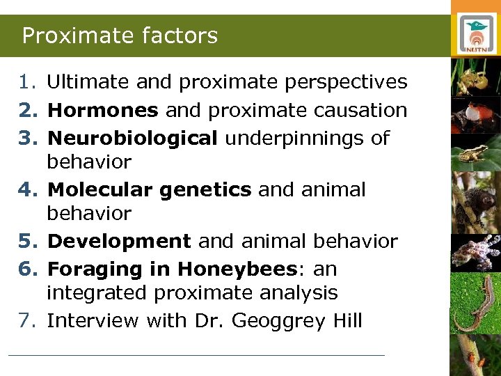 Proximate factors 1. Ultimate and proximate perspectives 2. Hormones and proximate causation 3. Neurobiological