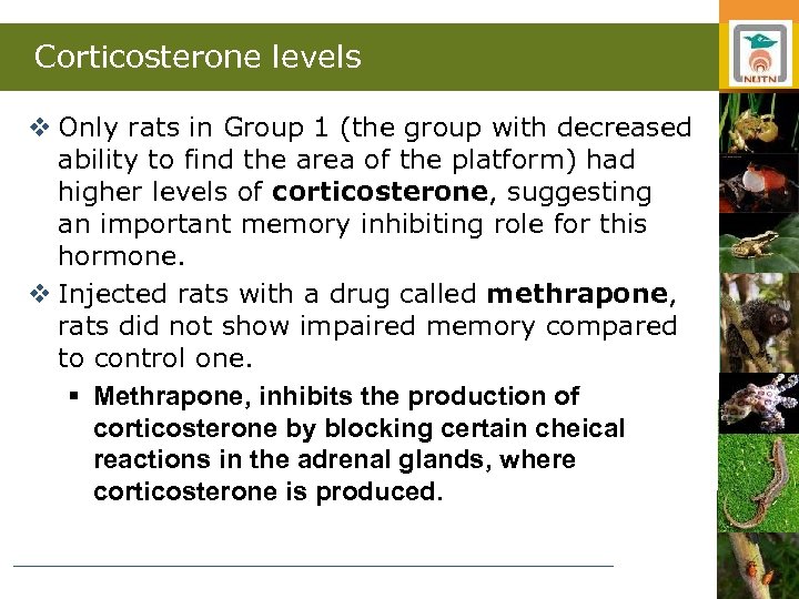 Corticosterone levels v Only rats in Group 1 (the group with decreased ability to