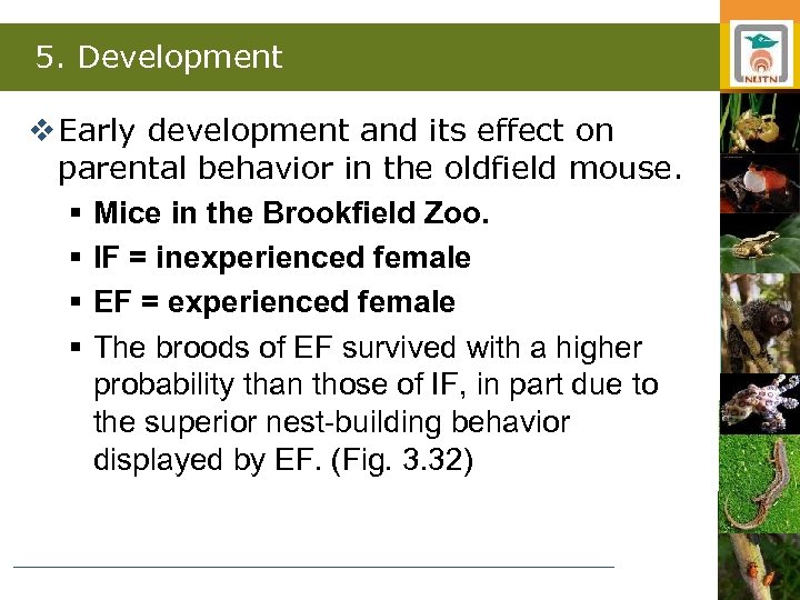 5. Development v Early development and its effect on parental behavior in the oldfield