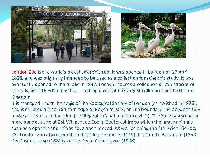 London Zoo is the world's oldest scientific zoo. It was opened in London on