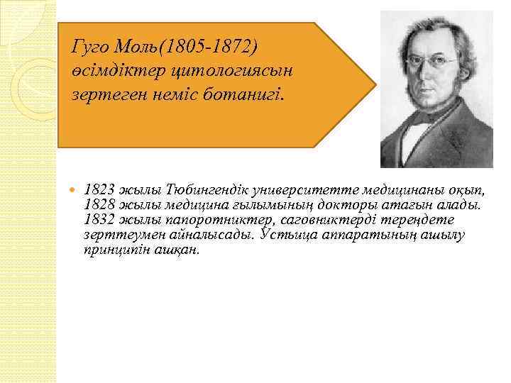 Гуго Моль(1805 -1872) өсімдіктер цитологиясын зертеген неміс ботанигі. 1823 жылы Тюбингендік университетте медицинаны оқып,