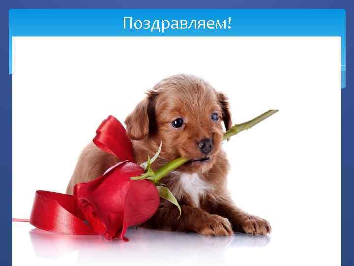 Поздравляем! 